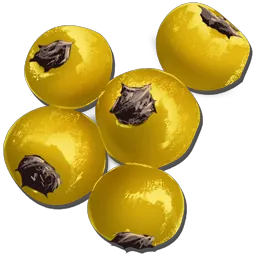 Baya amarilla