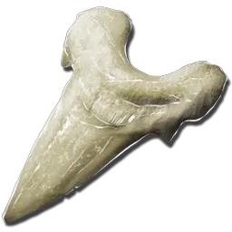 Dente de Megalodonte