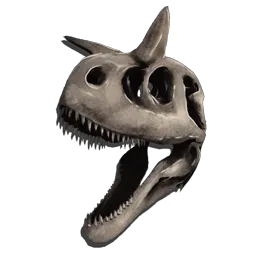Carno Knochenkostüm