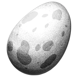 Extraordinary Dinosaur Egg