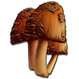 ARK: Survival Ascended crafting material - Rare Mushroom
